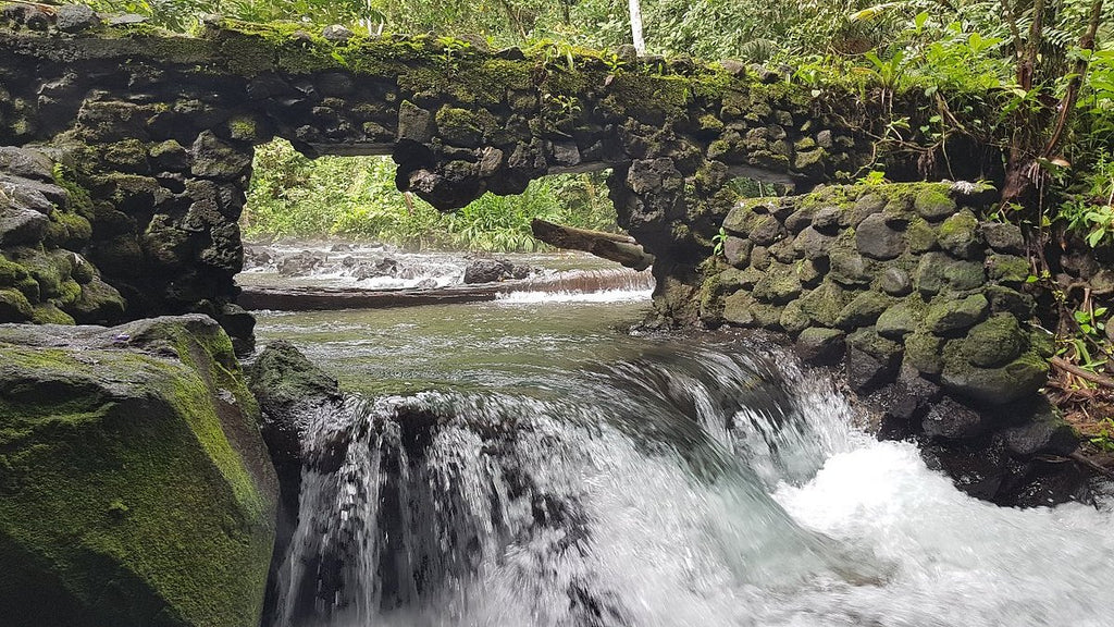 Fortuna Arenal: Full Day