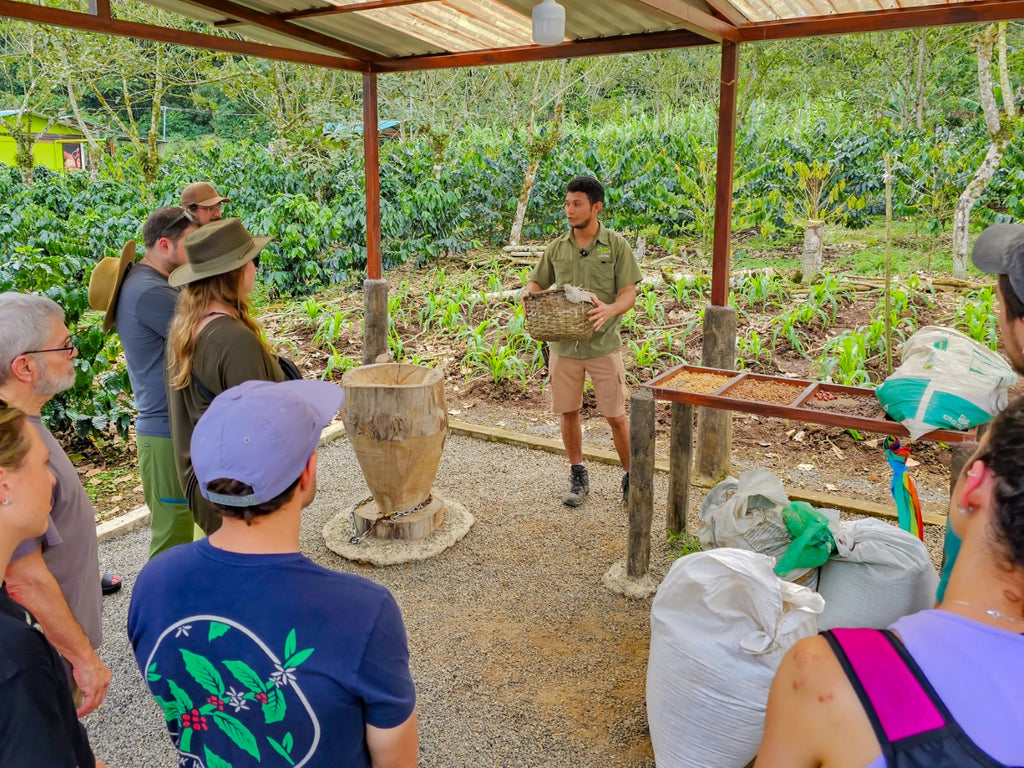 La Fortuna Coffee Experience near Arenal Volcano