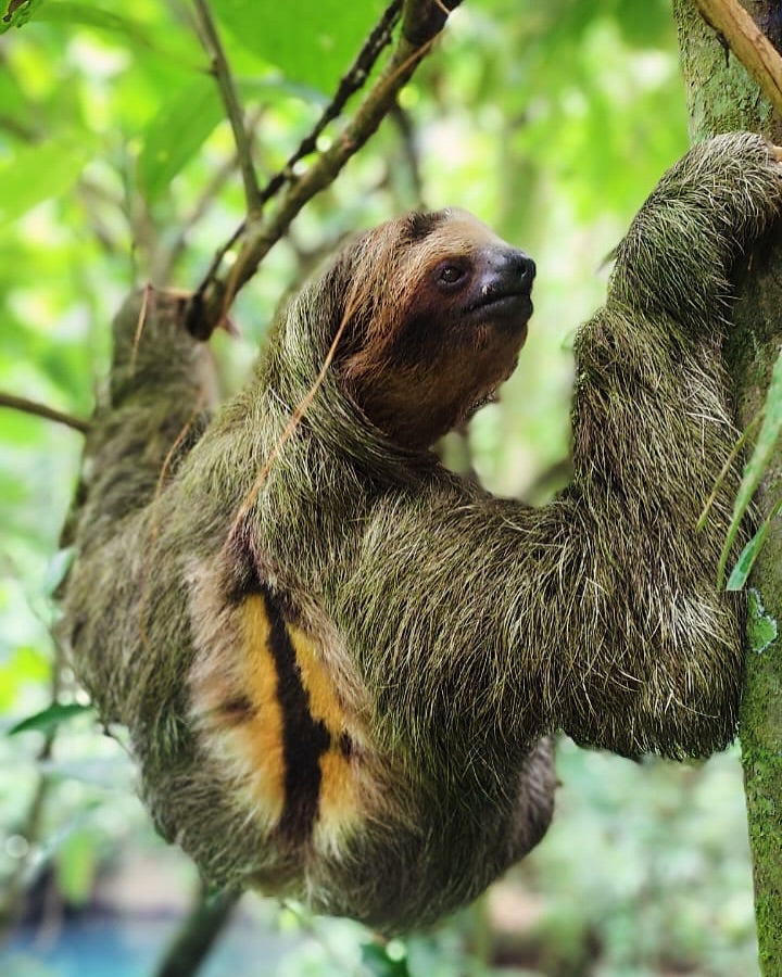Exclusive ATV Experience in La Fortuna, Costa Rica