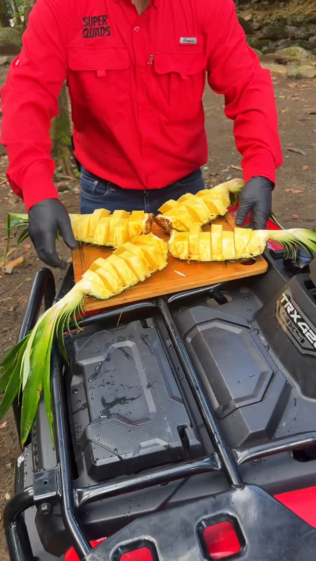 Exclusive ATV Experience in La Fortuna, Costa Rica