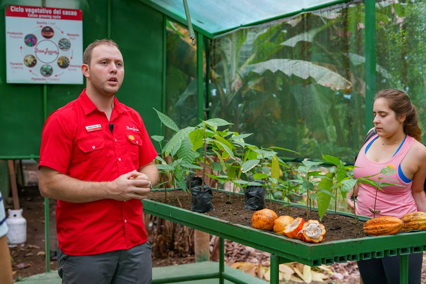 Sweet Adventure: Coffee and Chocolate Tour in La Fortuna