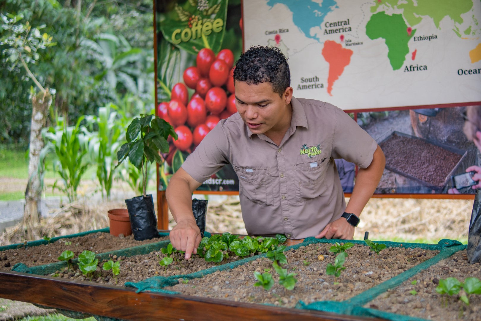 La Fortuna Coffee Experience near Arenal Volcano