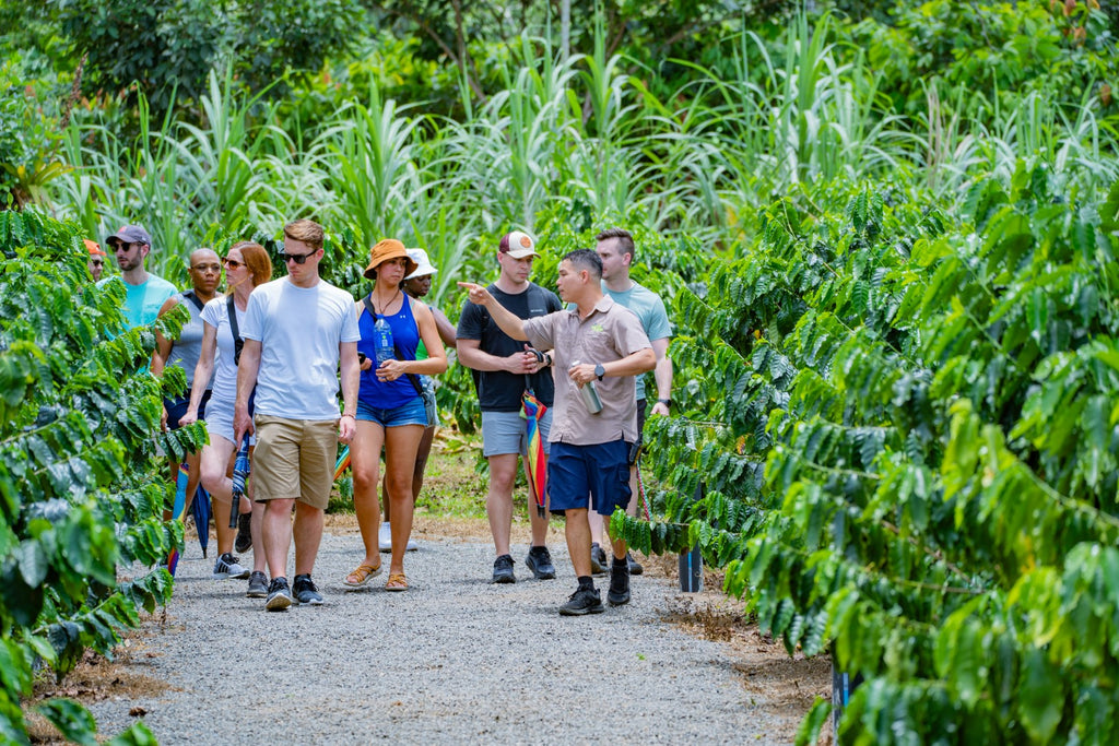 La Fortuna Coffee Experience near Arenal Volcano