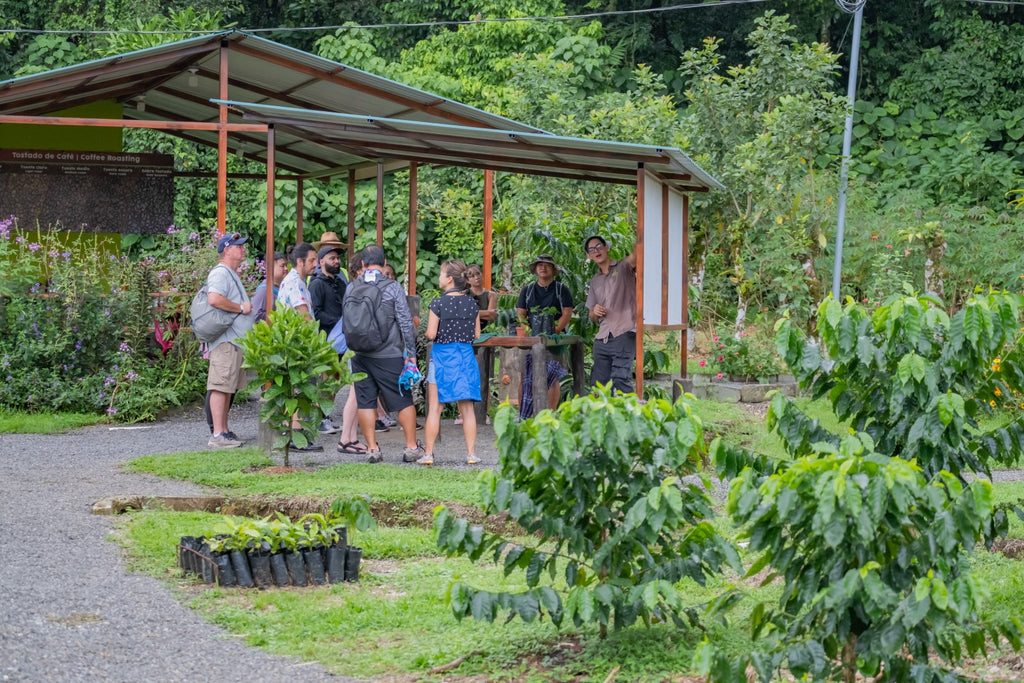 La Fortuna Coffee Experience near Arenal Volcano