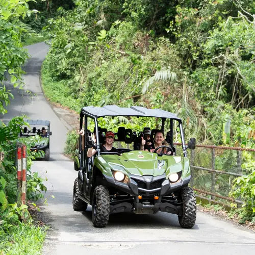 Side-by-Side Adventure in La Fortuna, Costa Rica