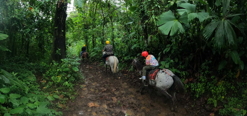 Horseback Riding Tour in La Fortuna