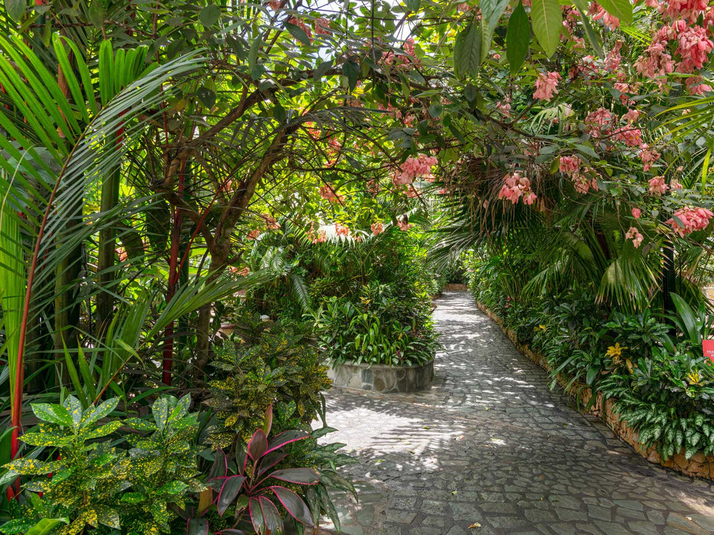 Baldi Hot Springs in Costa Rica – Day Pass