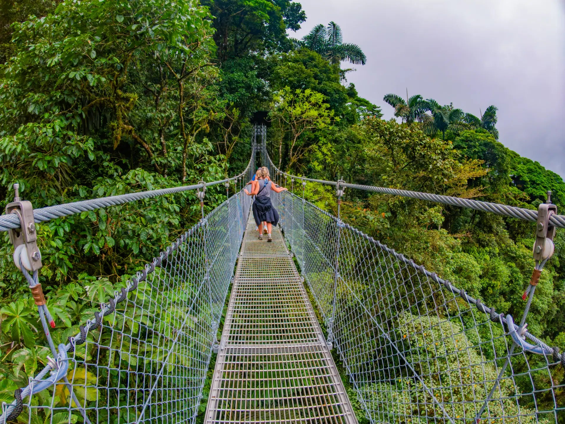 Arenal Volcano Hanging Bridges Experience
