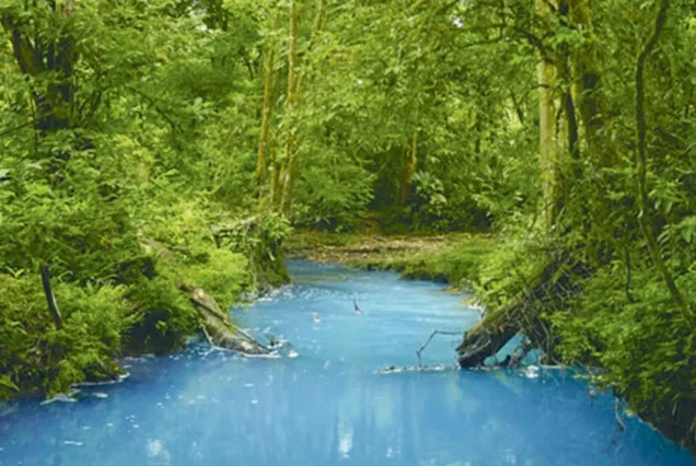 Río Celeste & Tenorio Volcano National Park Tour