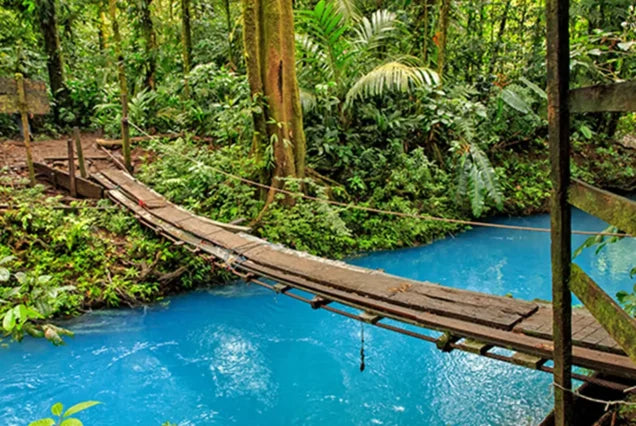 Río Celeste & Tenorio Volcano National Park Tour