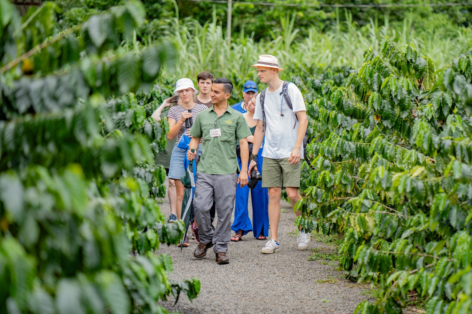 La Fortuna Coffee Experience near Arenal Volcano