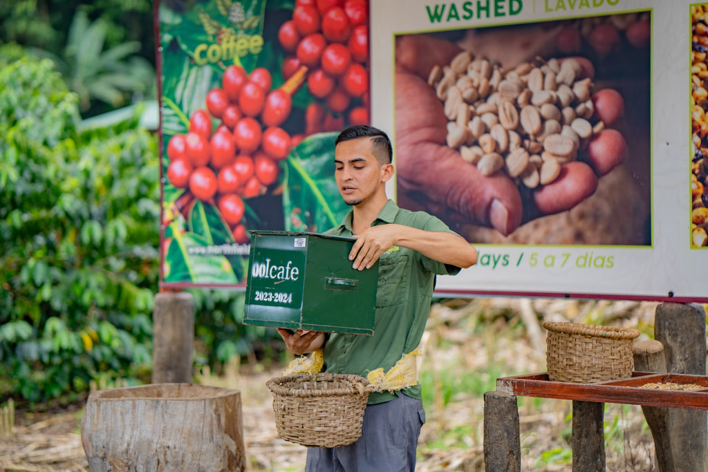 La Fortuna Coffee Experience near Arenal Volcano
