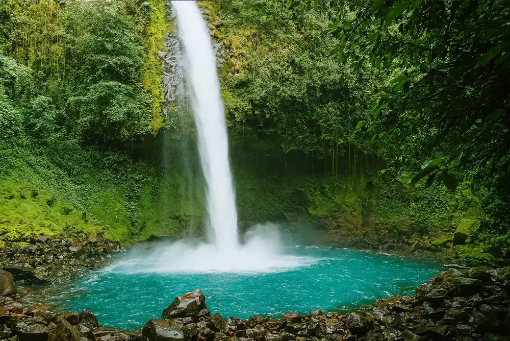 Fortuna Arenal: Full Day