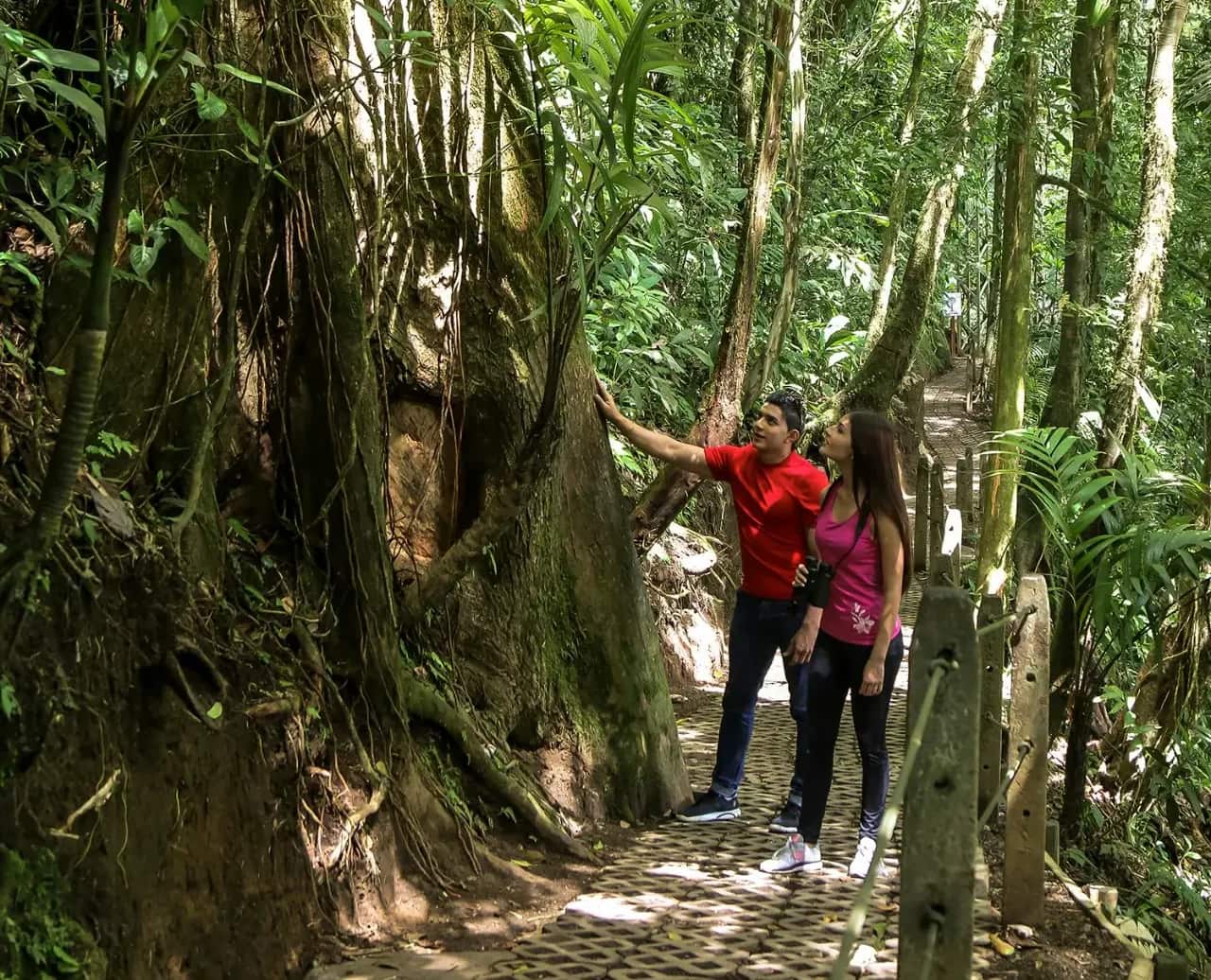 Arenal Volcano Hanging Bridges Experience