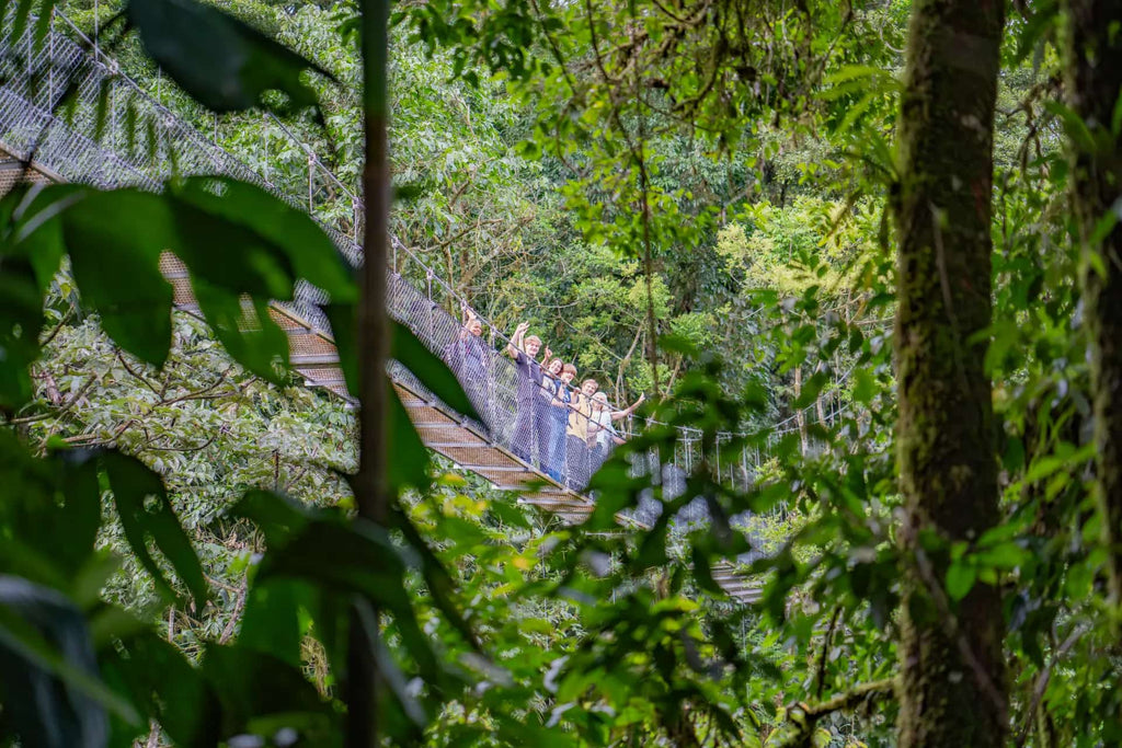Arenal Volcano Hanging Bridges Experience