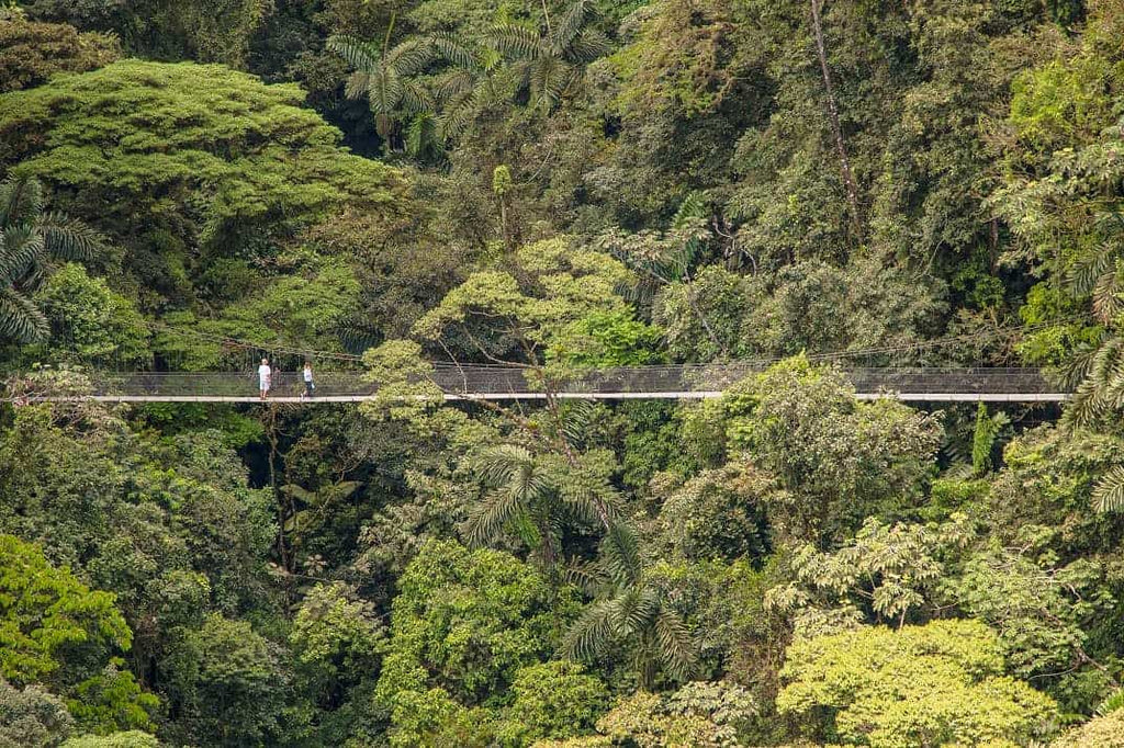 Arenal Volcano Hanging Bridges Experience
