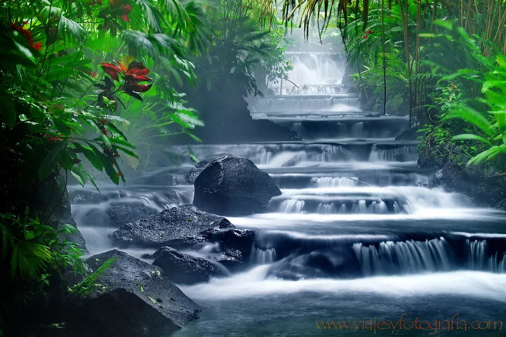 Fortuna Arenal: Full Day