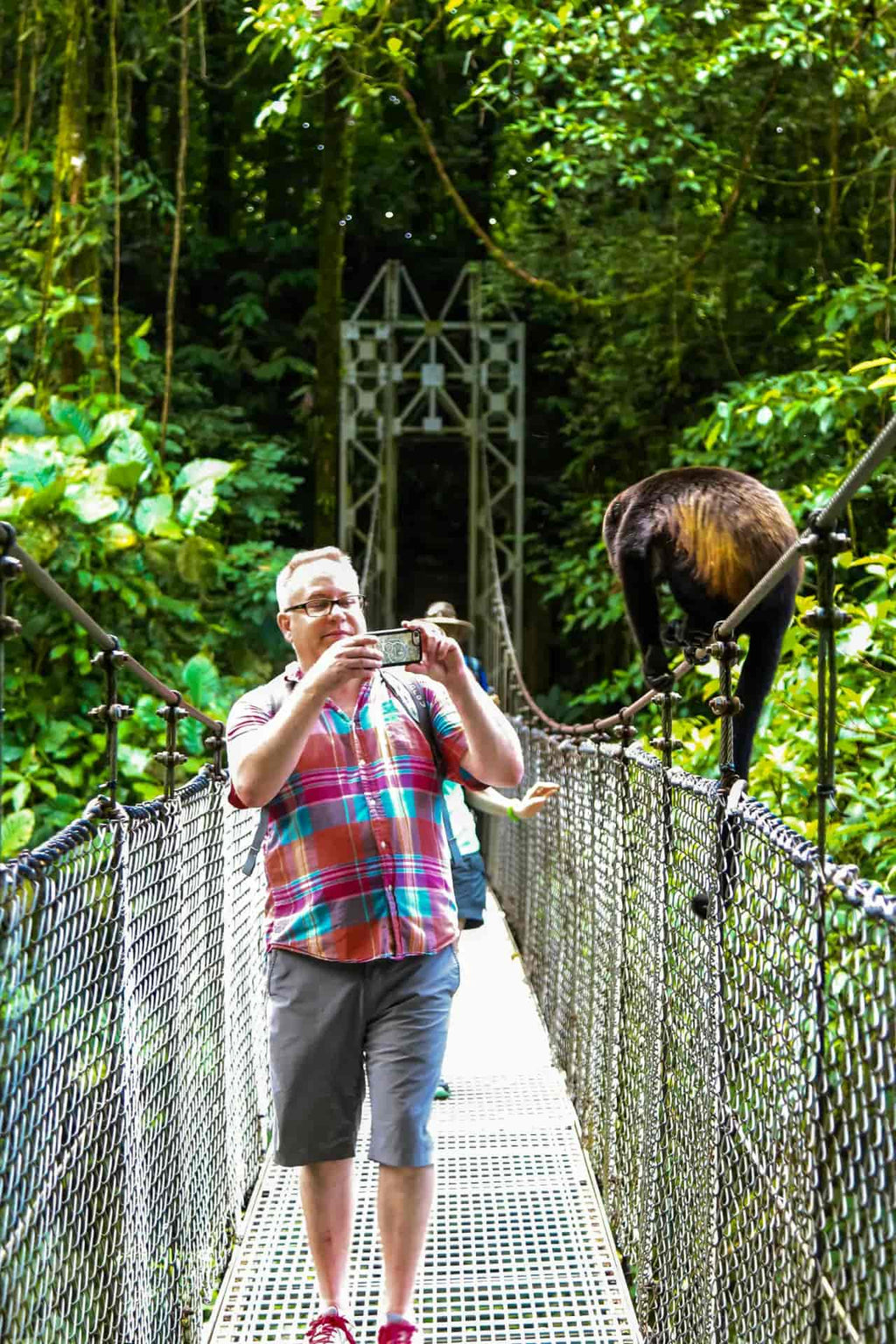 Arenal Volcano Hanging Bridges Experience
