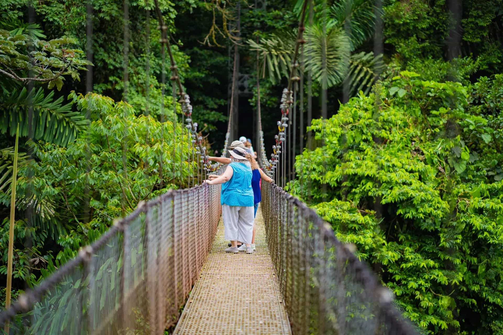Arenal Volcano Hanging Bridges Experience