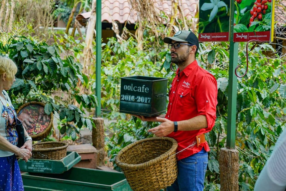 Sweet Adventure: Coffee and Chocolate Tour in La Fortuna