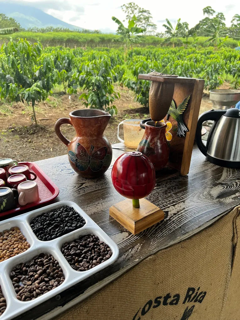 Sweet Adventure: Coffee and Chocolate Tour in La Fortuna