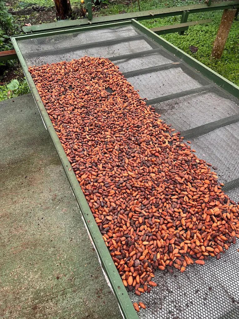 Sweet Adventure: Coffee and Chocolate Tour in La Fortuna