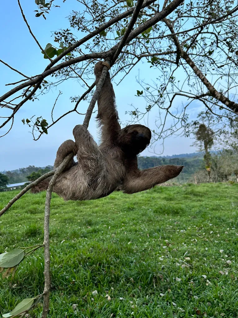 ATV Off-Road Experience: Conquer La Fortuna Trails