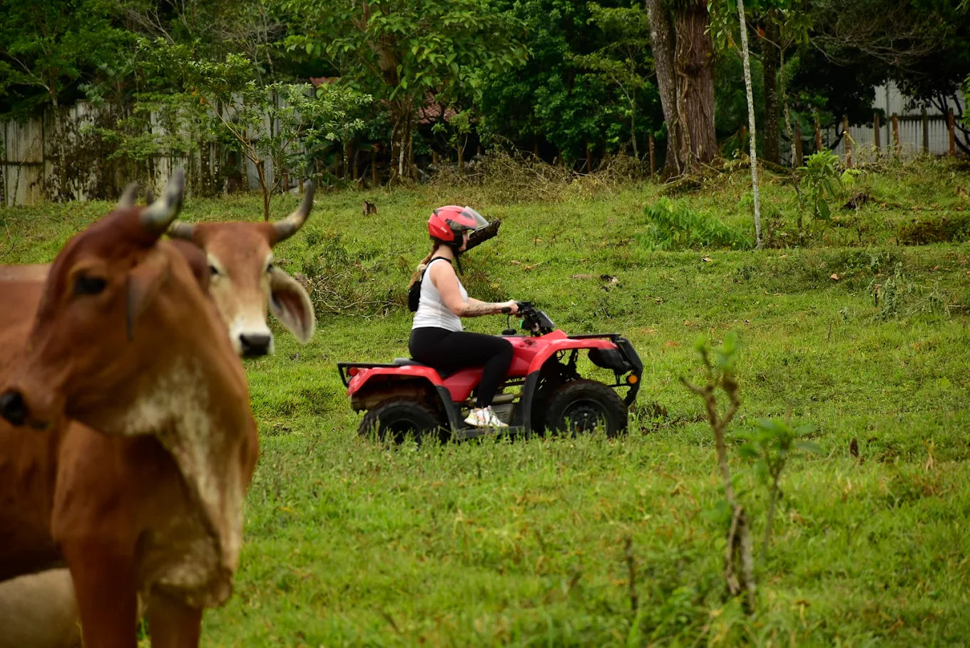 ATV Off-Road Experience: Conquer La Fortuna Trails