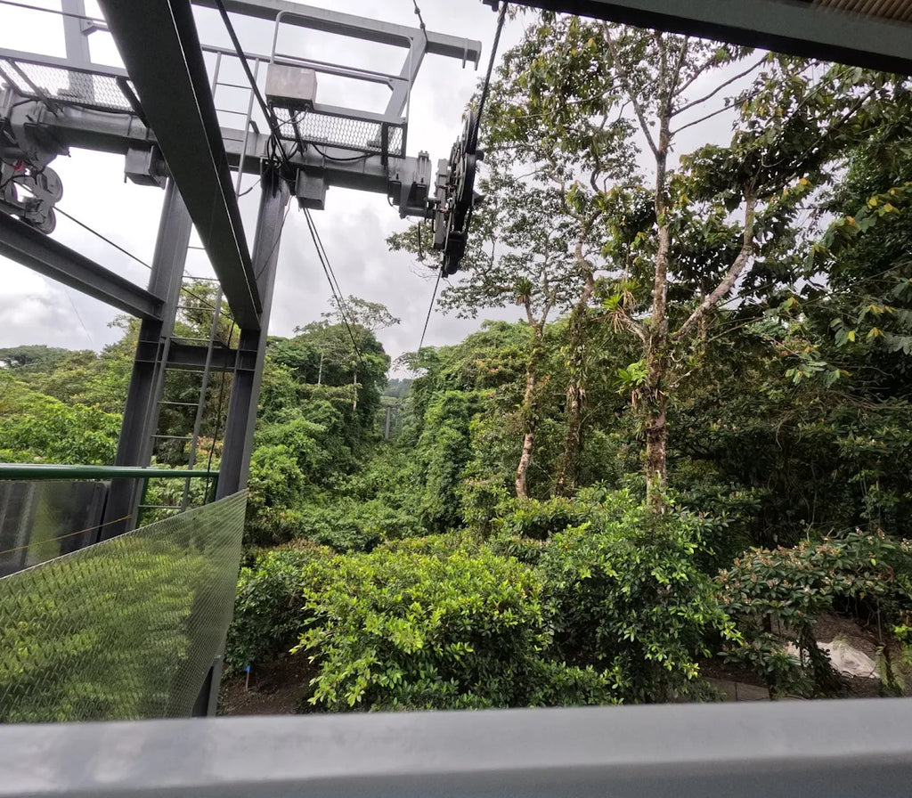 Arenal Volcano Sky Adventure — Zip Through the Clouds