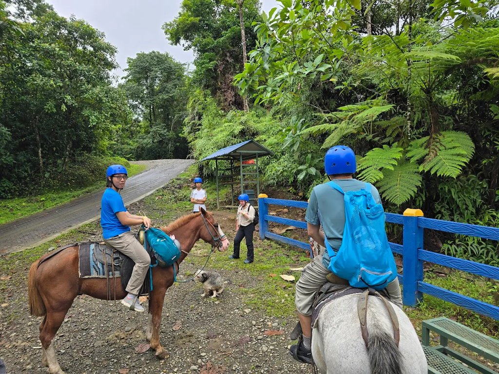 Horseback Riding Tour in La Fortuna