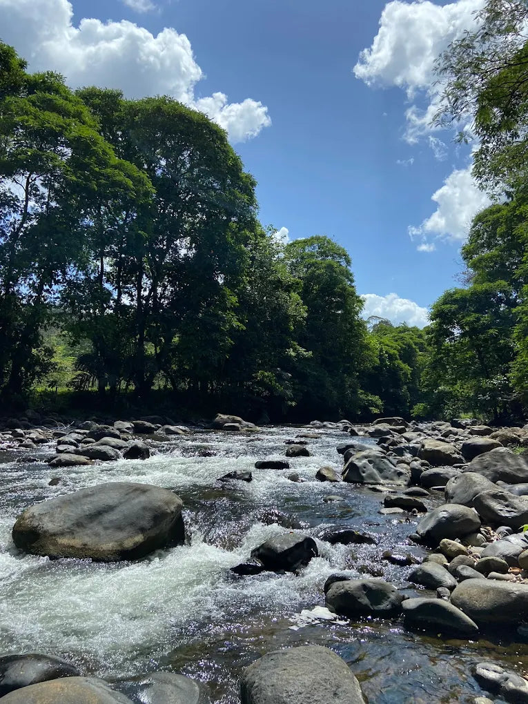 ATV Off-Road Experience: Conquer La Fortuna Trails