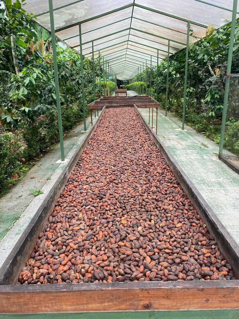 Sweet Adventure: Coffee and Chocolate Tour in La Fortuna