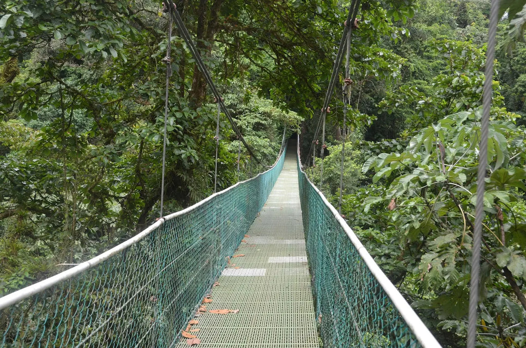 Arenal Volcano Sky Adventure — Zip Through the Clouds