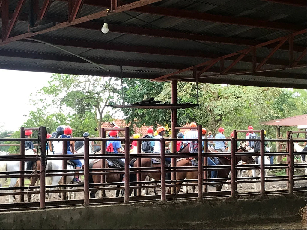 Horseback Riding Tour in La Fortuna